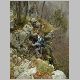 22_11_2009 matanna 027.JPG